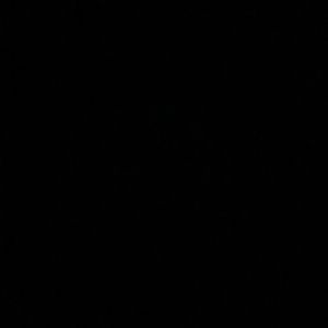 Meet your Posher, Ross